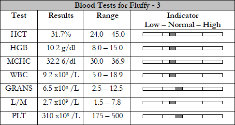Fluffy’s Blood Test – View 3